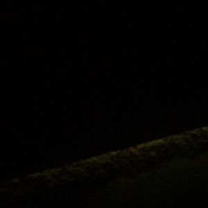 Meet your Posher, Sherry